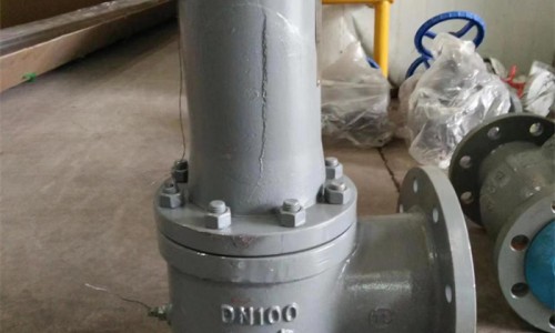 DN100Һʯȫ 